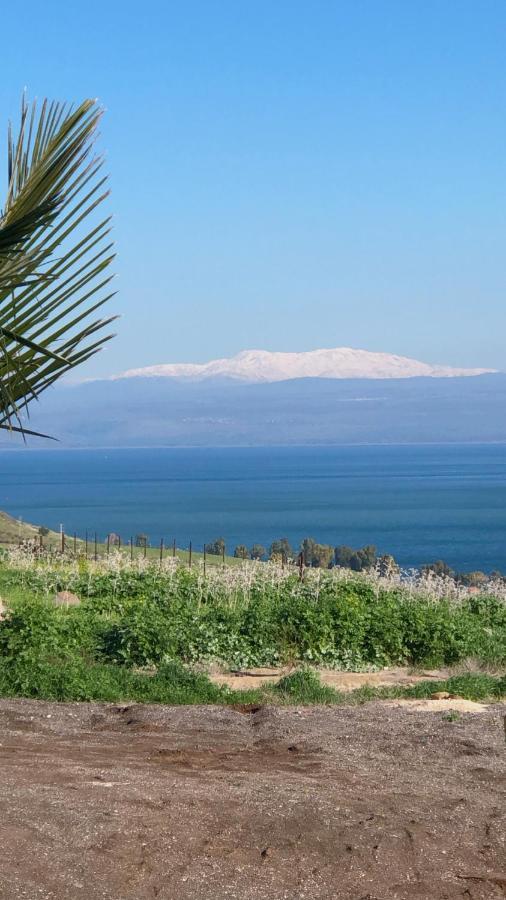 Kinneret View Bagian luar foto