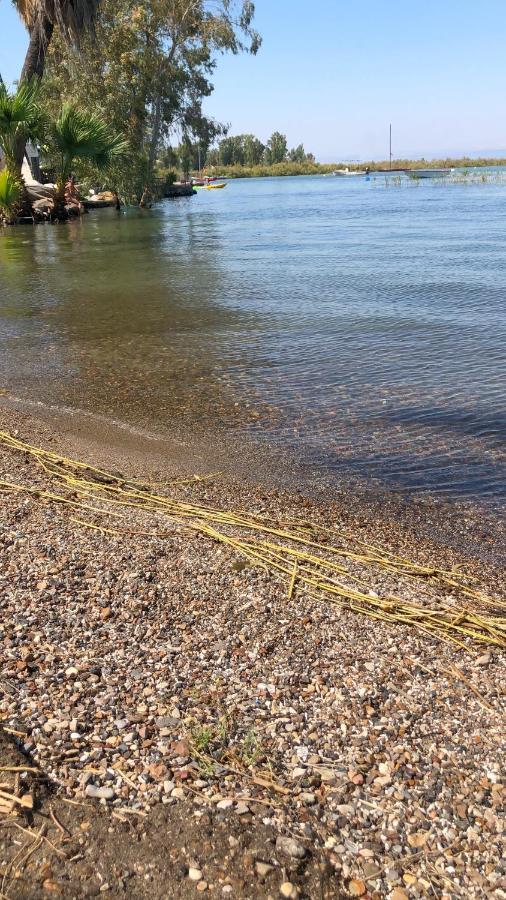 Kinneret View Bagian luar foto