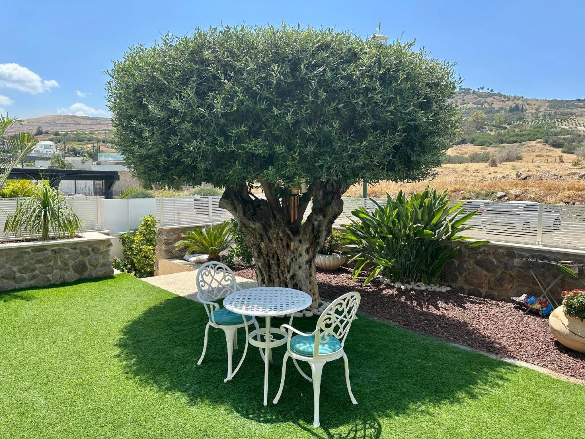 Kinneret View Bagian luar foto
